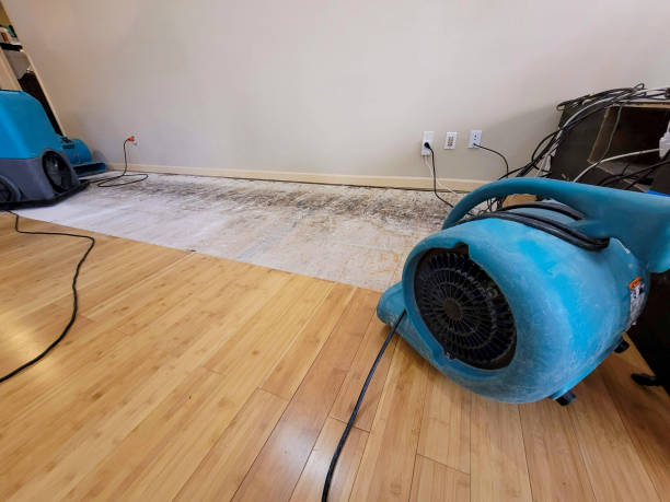 Professional Water Damage Repair technician working in Freeland, PA